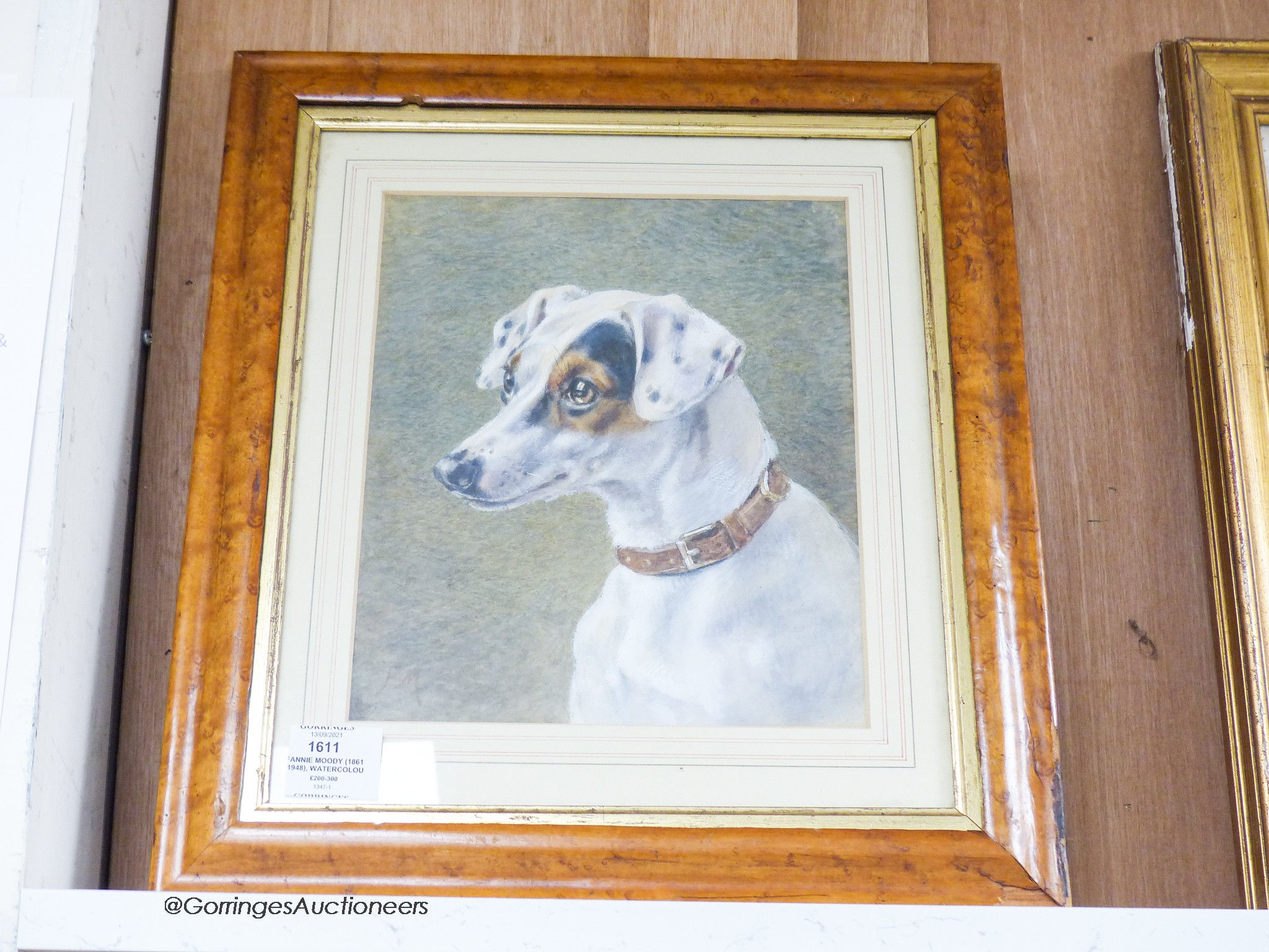 Fannie Moody (1861-1948), watercolour, Jack Russell, 27. 5 x 22.5 cm